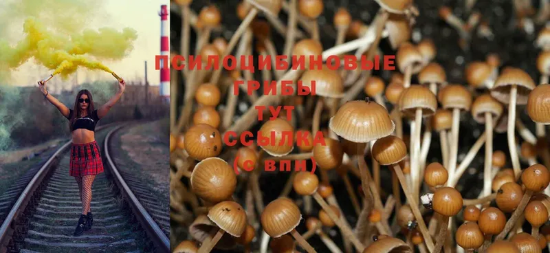 купить наркотик  Наро-Фоминск  Галлюциногенные грибы MAGIC MUSHROOMS 